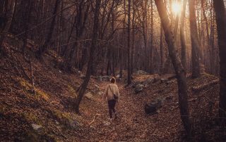 A woman walking through a forest in autumn at sun set